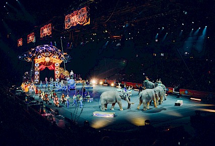 Circus Animals Wodonga