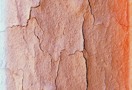 Chiltern Spring Chaos